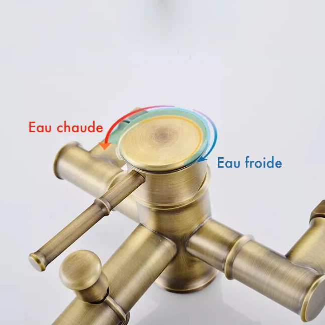 Robinet douche salle de bain bambou flexible pommeau - Doré