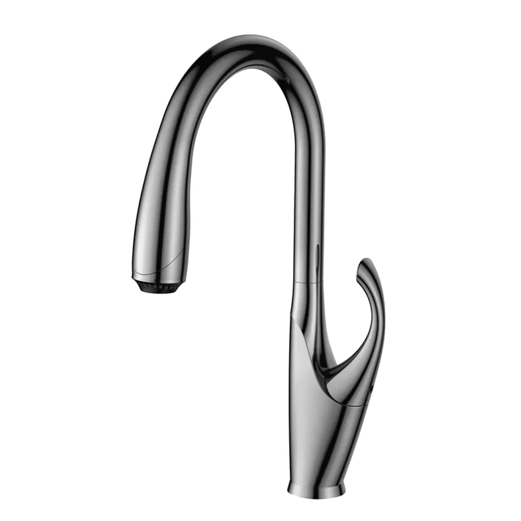 Robinet évier cuisine design moderne flexible douchette - Argenté - Laiton