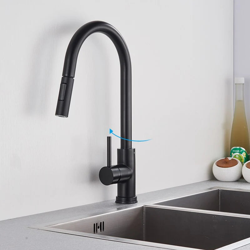 Robinet cuisine évier flexible douchette minimaliste - Noir - Laiton