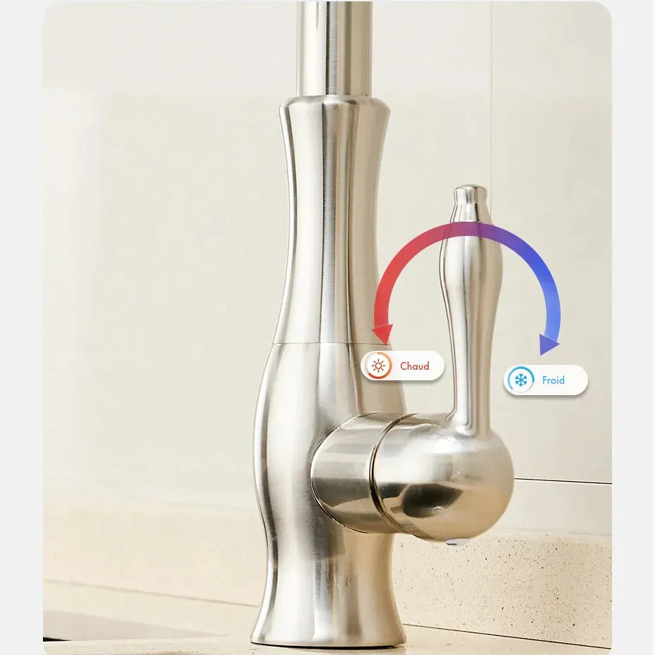 Robinet évier cuisine rétro arrondi flexible douchette - Argenté - Laiton