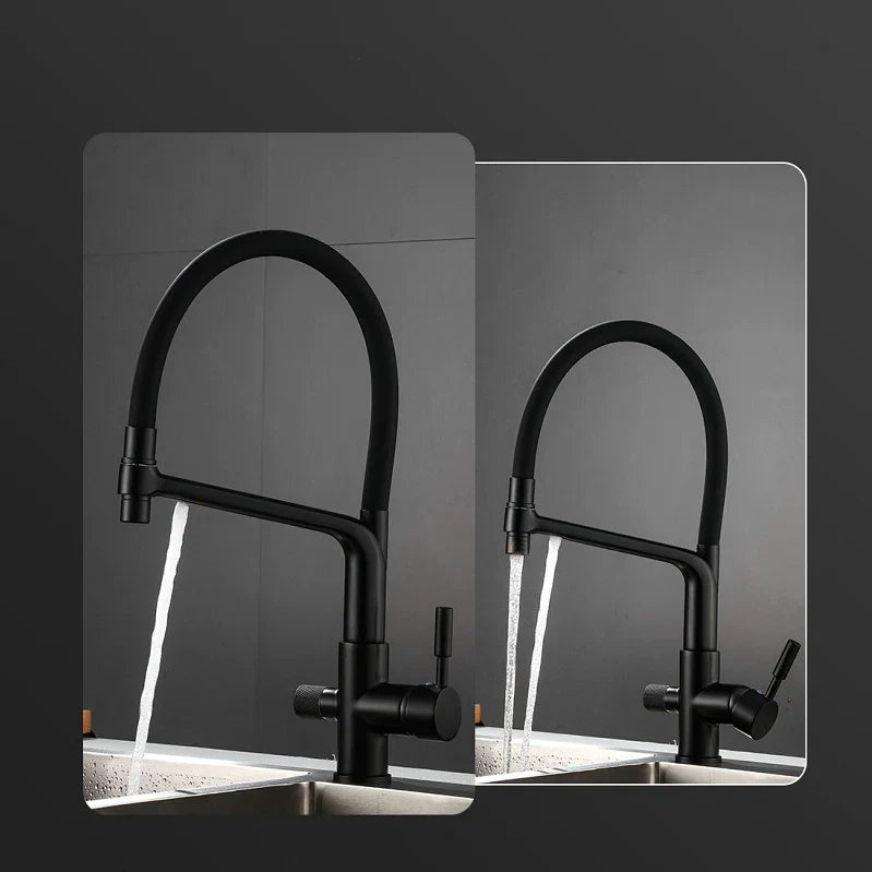 Robinet cuisine évier flexible double robinet purificateur d'eau - Noir - Laiton