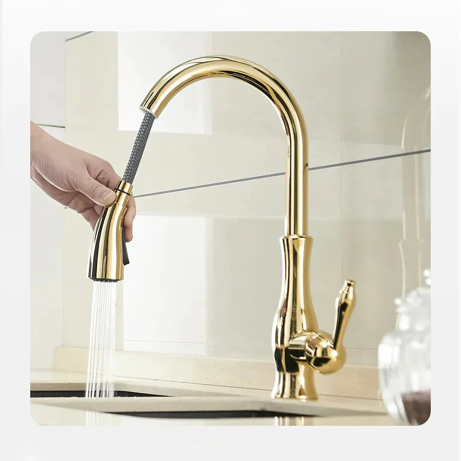 Robinet évier cuisine rétro arrondi flexible douchette - Doré - Laiton