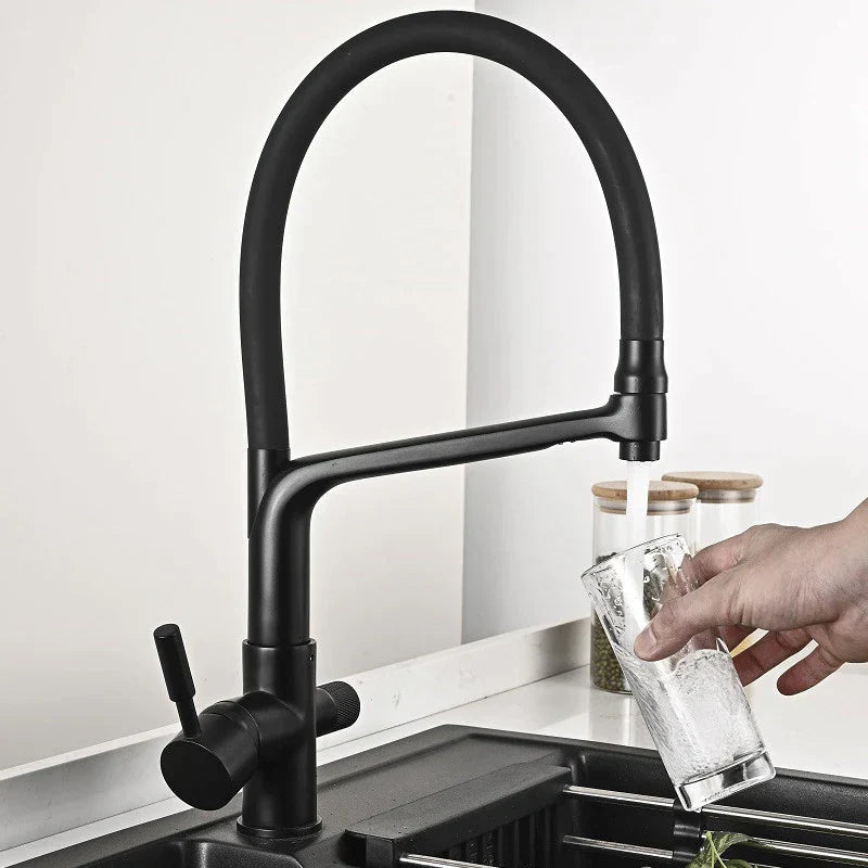Robinet cuisine évier flexible double robinet purificateur d'eau - Noir - Laiton