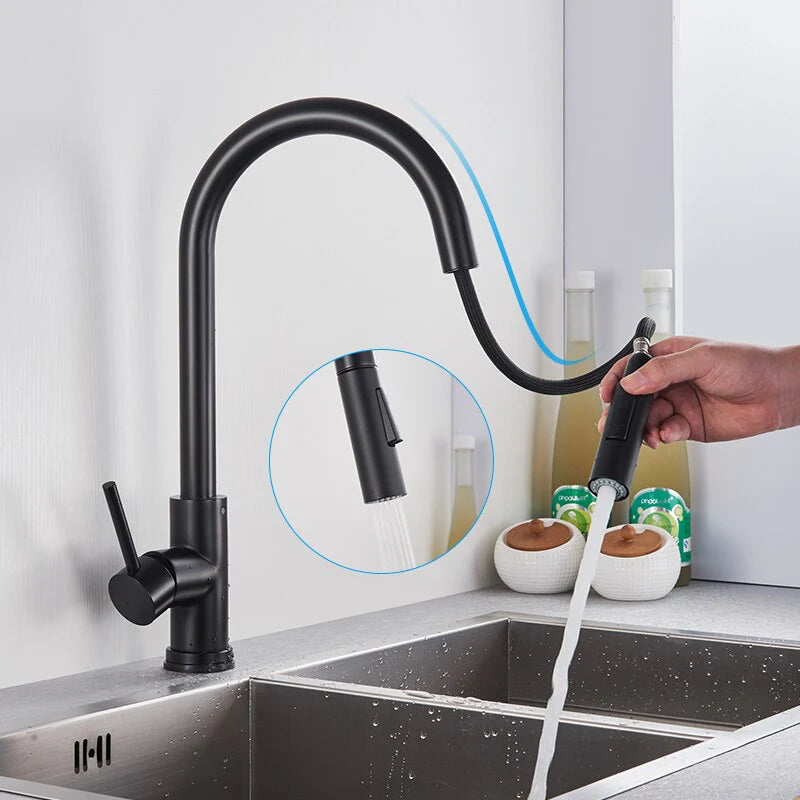 Robinet cuisine évier flexible douchette minimaliste - Noir - Laiton