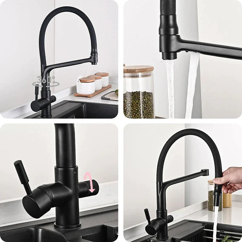 Robinet cuisine évier flexible double robinet purificateur d'eau - Noir - Laiton