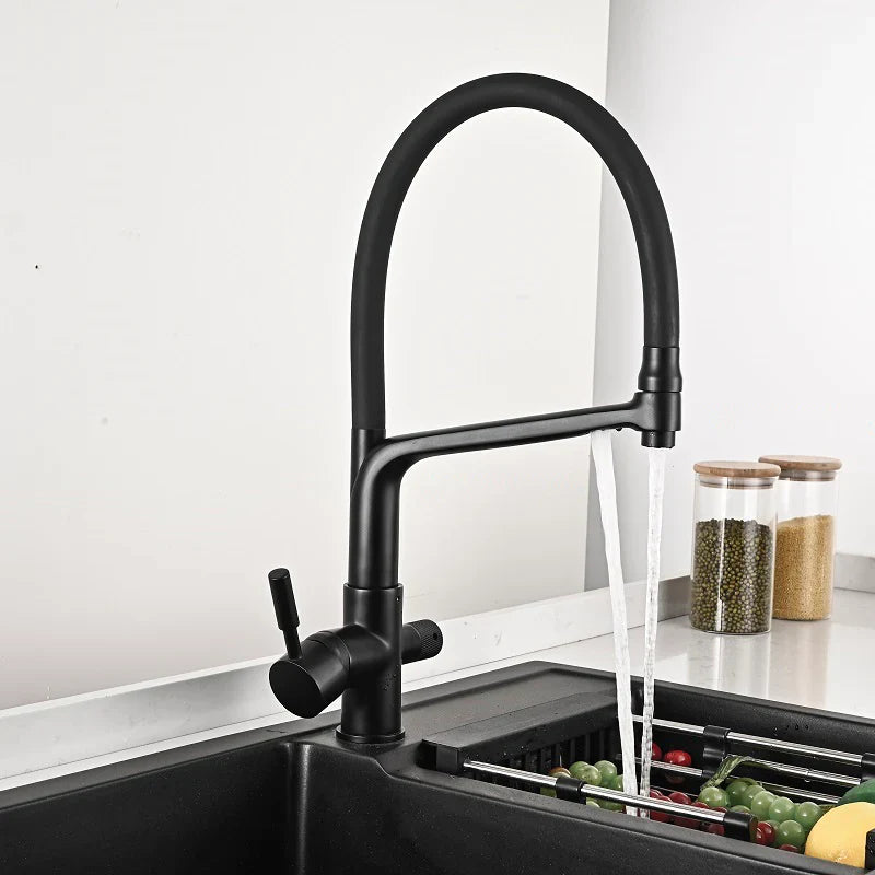 Robinet cuisine évier flexible double robinet purificateur d'eau - Noir - Laiton