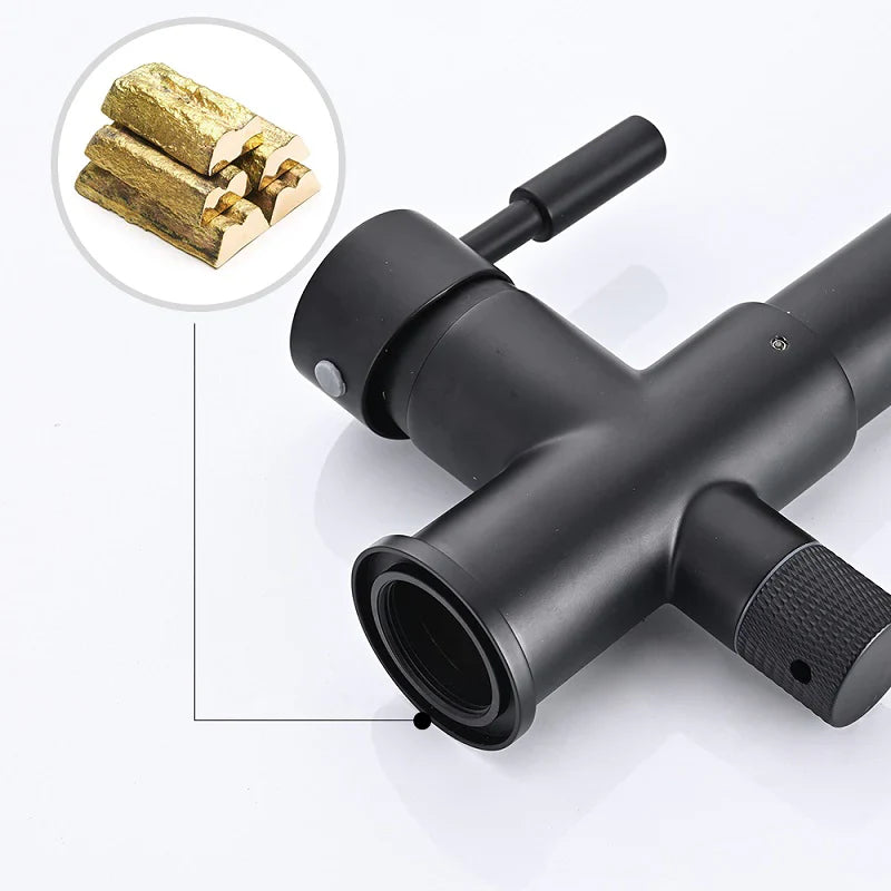 Robinet cuisine évier flexible double robinet purificateur d'eau - Noir - Laiton