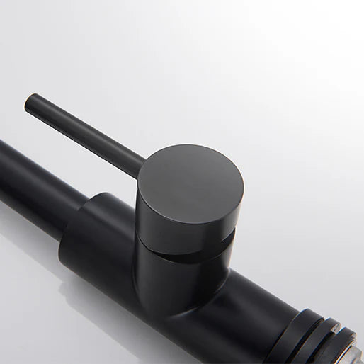 Robinet cuisine évier flexible douchette minimaliste - Noir - Laiton