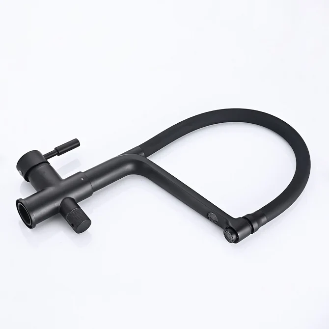 Robinet cuisine évier flexible double robinet purificateur d'eau - Noir - Laiton