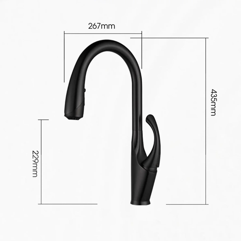 Robinet évier cuisine design moderne flexible douchette - Noir - Laiton