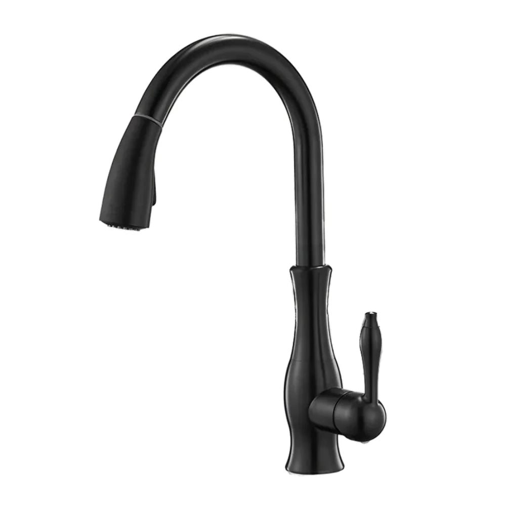 Robinet évier cuisine rétro arrondi flexible douchette - Noir - Laiton