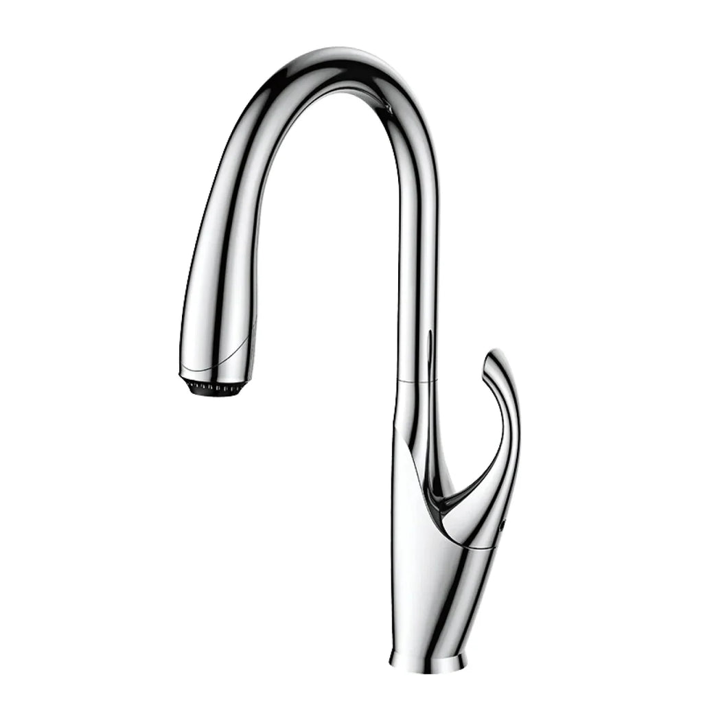 Robinet évier cuisine design moderne flexible douchette - Argenté - Laiton