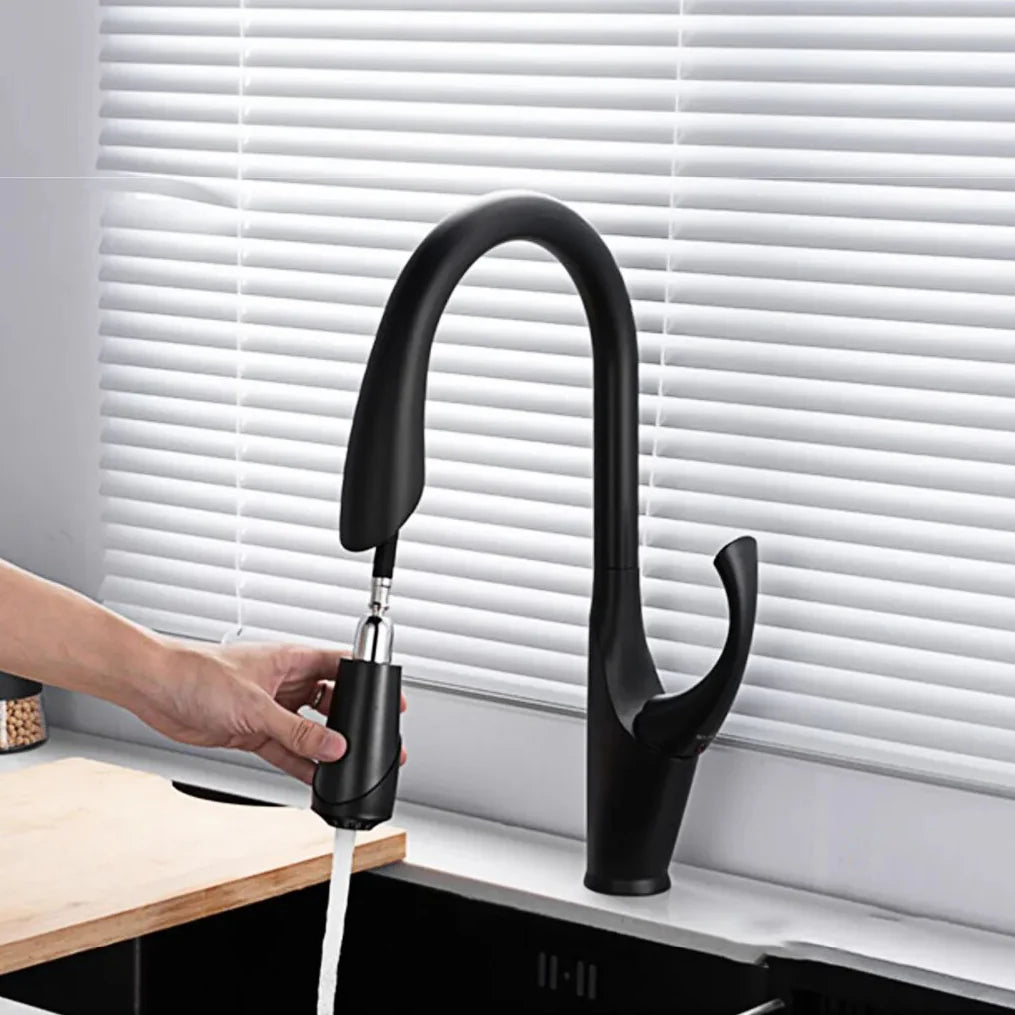Robinet évier cuisine design moderne flexible douchette - Noir - Laiton