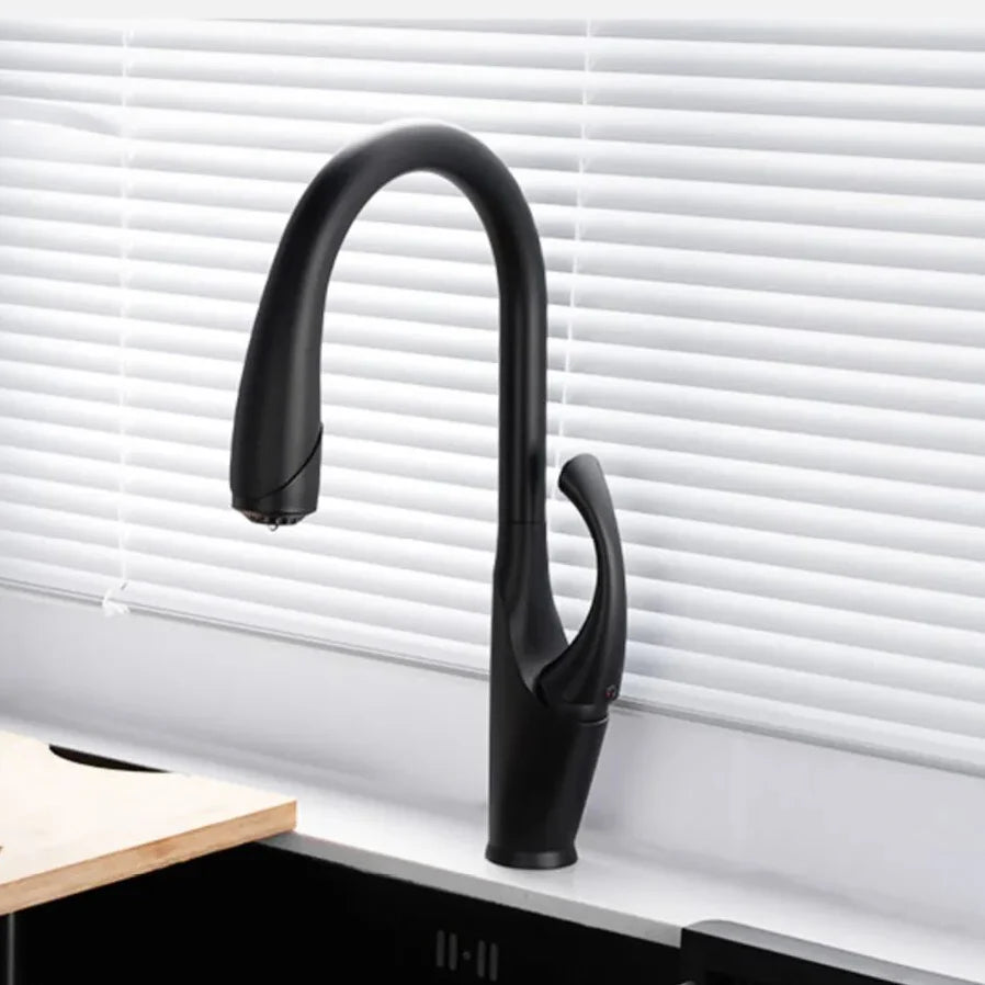 Robinet évier cuisine design moderne flexible douchette - Noir - Laiton