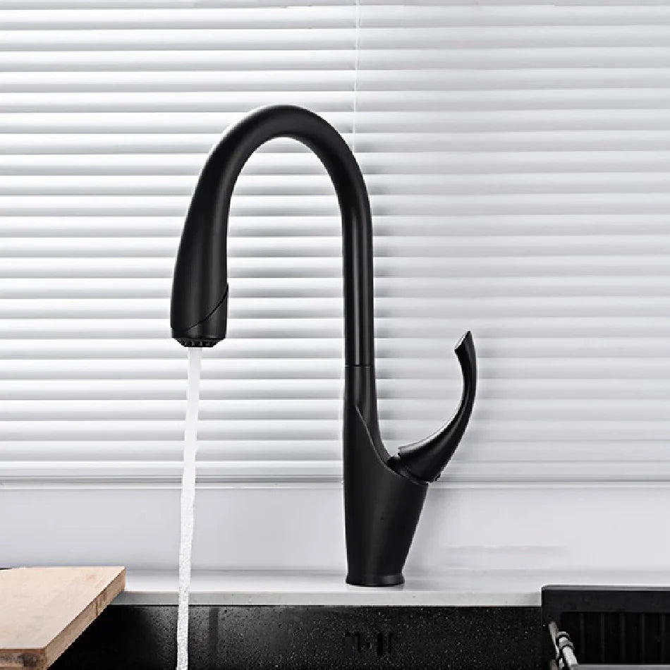 Robinet évier cuisine design moderne flexible douchette - Noir - Laiton