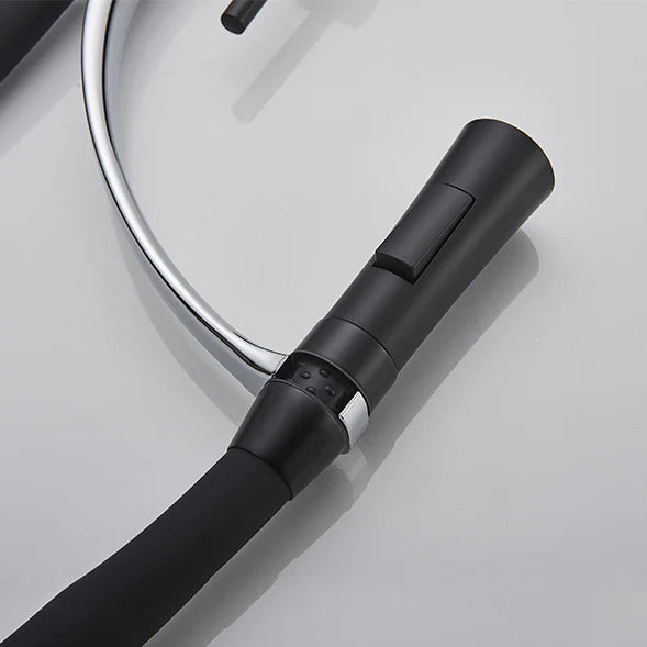 Robinet évier cuisine tuyau noir douchette mitigeur - Noir - Laiton