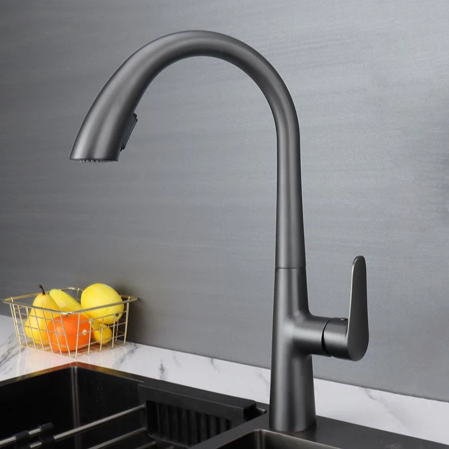 Robinet évier cuisine mitigeur design arrondi flexible douchette - Argenté