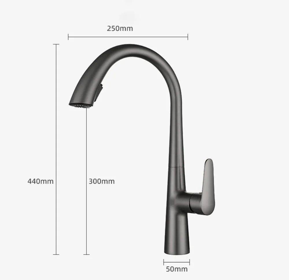 Robinet évier cuisine mitigeur design arrondi flexible douchette - Argenté