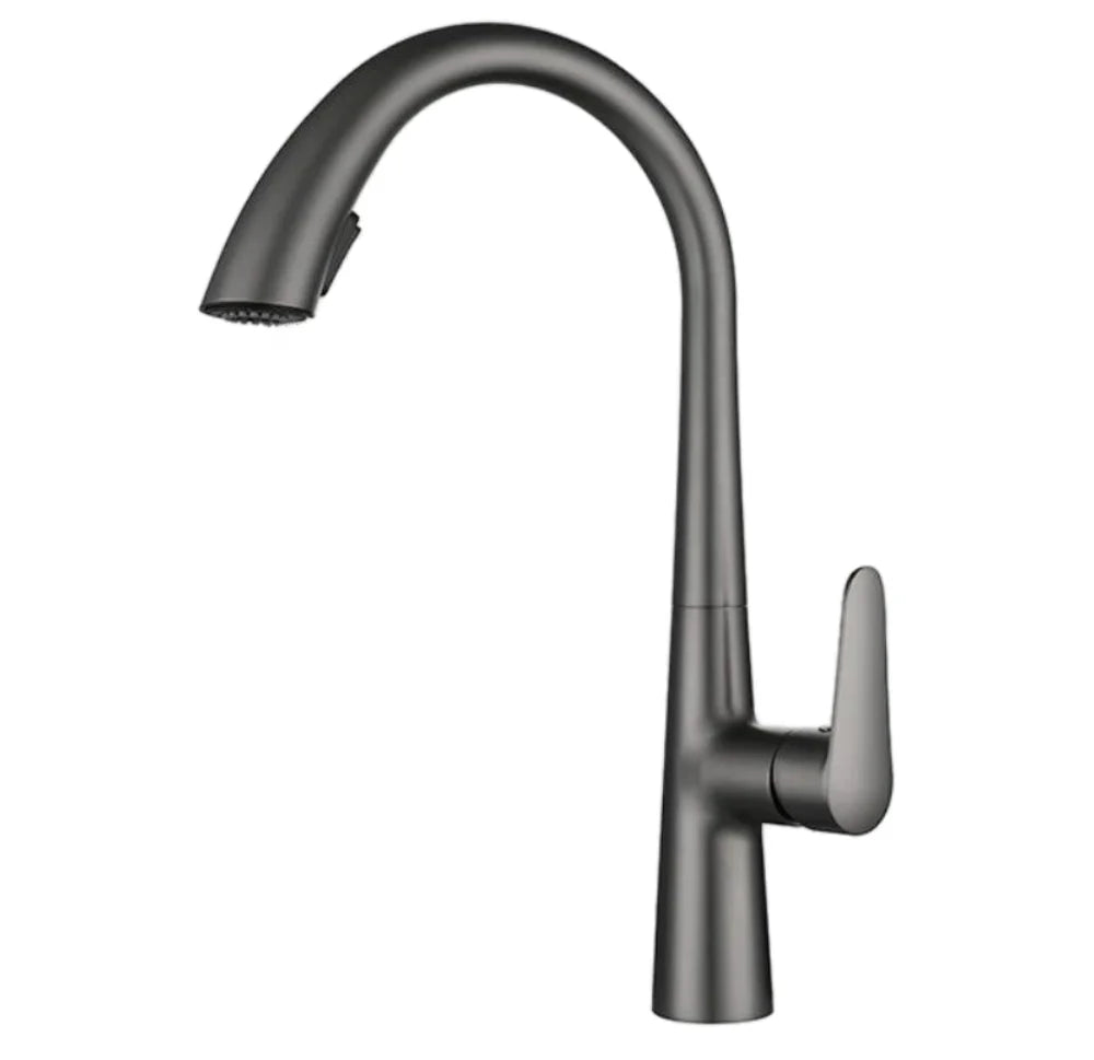 Robinet évier cuisine mitigeur design arrondi flexible douchette - Argenté