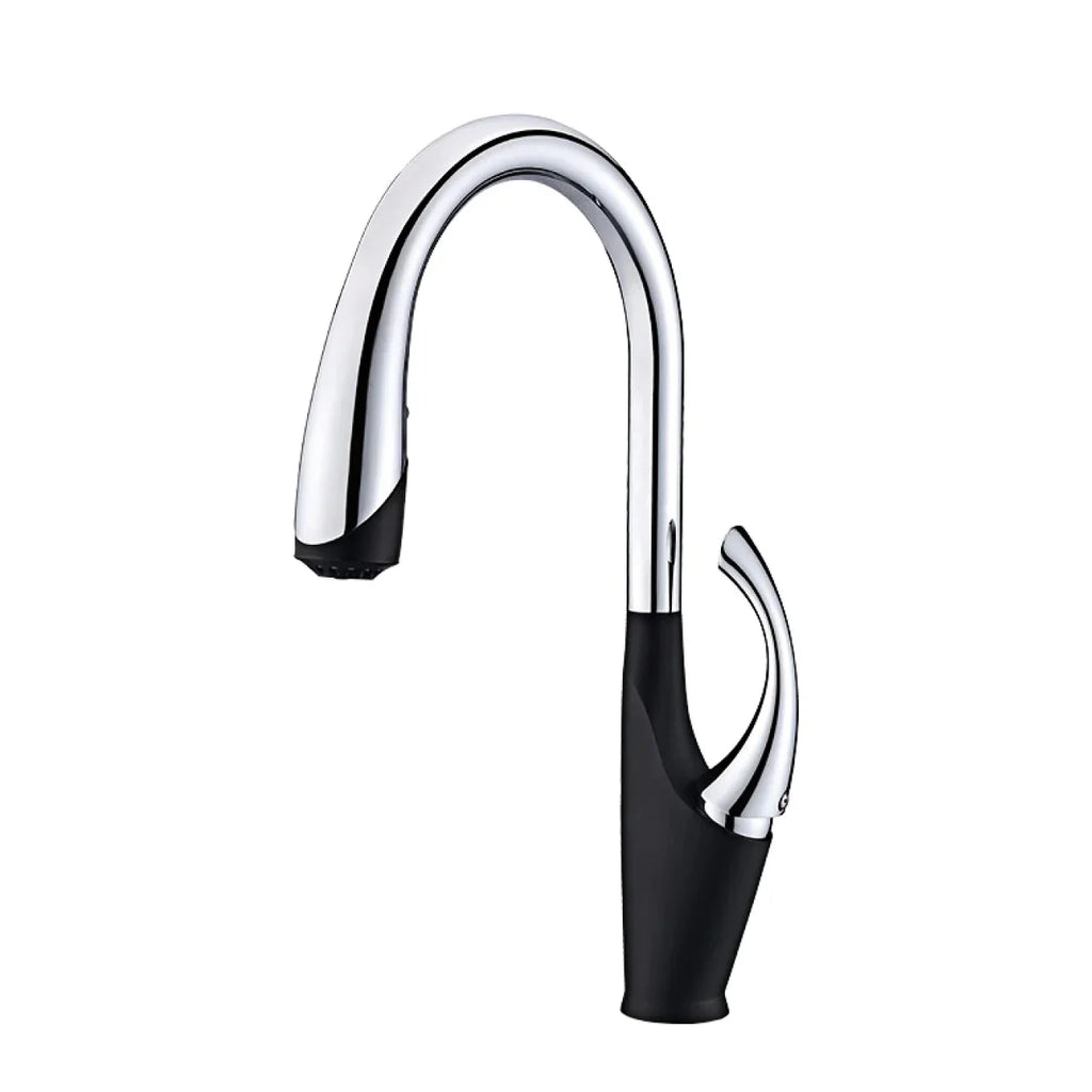 Robinet évier cuisine design moderne flexible douchette - Noir / Argenté - Laiton
