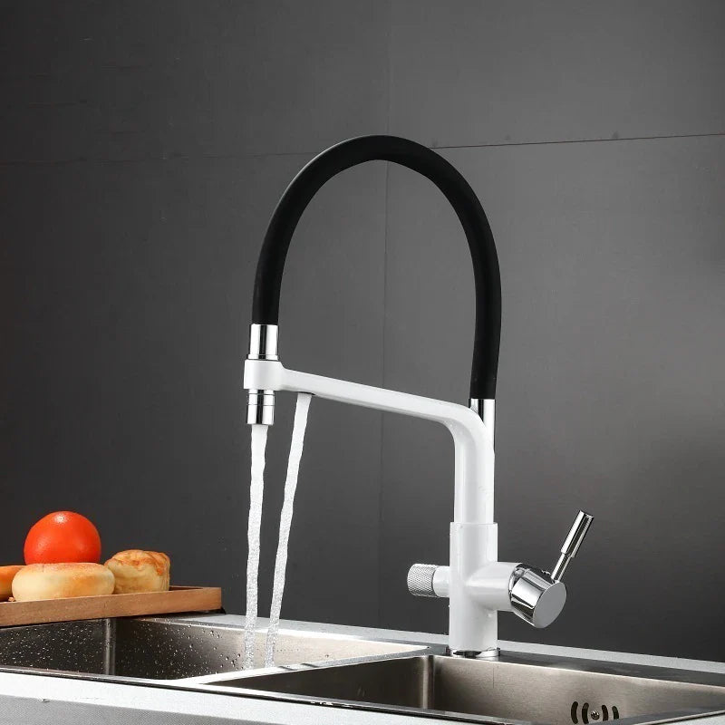 Robinet cuisine évier flexible double robinet purificateur d'eau - Blanc - Laiton