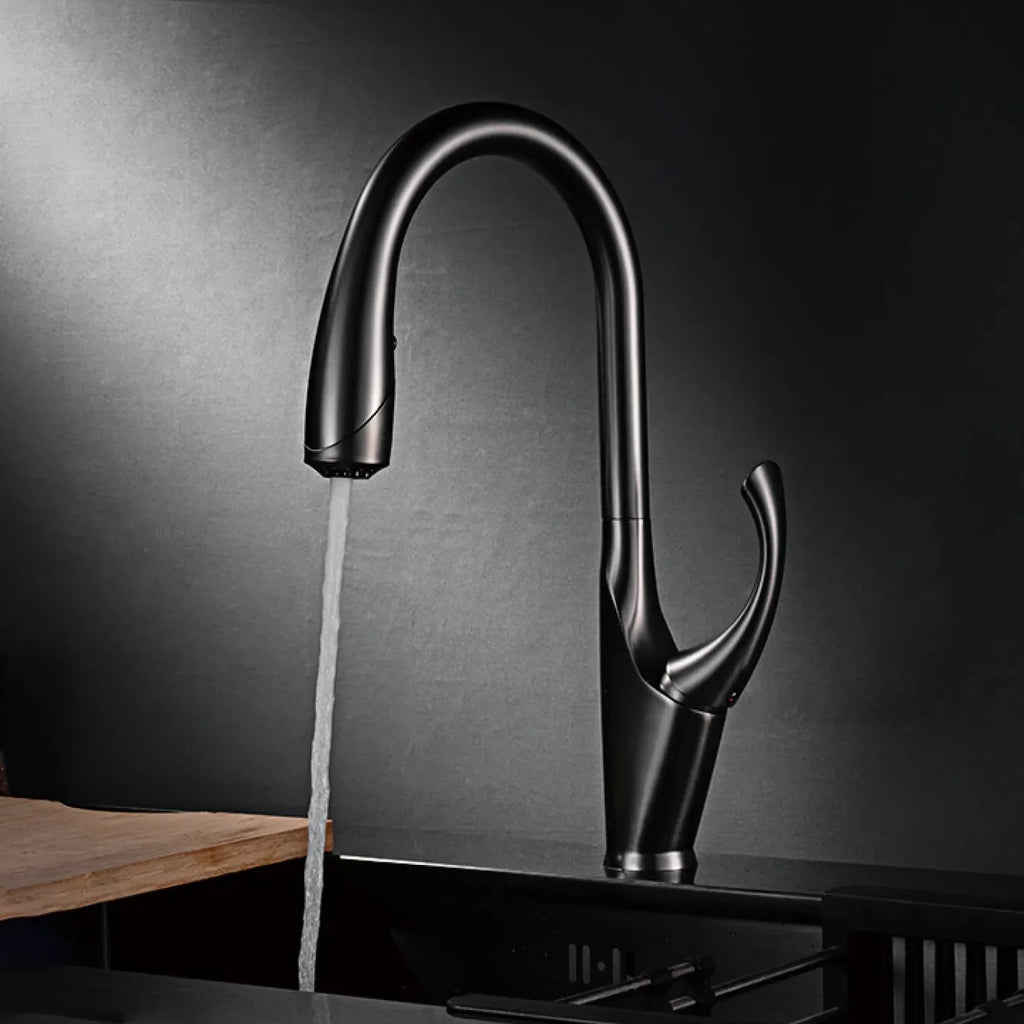 Robinet évier cuisine design moderne flexible douchette - Noir - Laiton