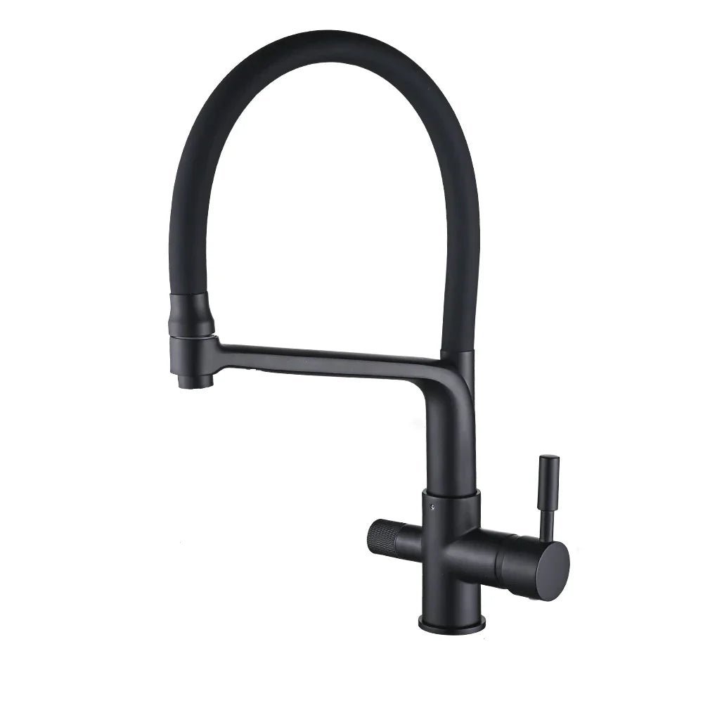 Robinet cuisine évier flexible double robinet purificateur d'eau - Noir - Laiton