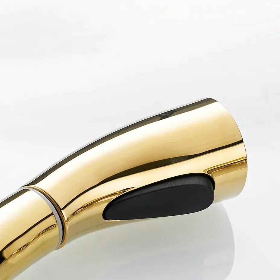 Robinet évier cuisine rétro arrondi flexible douchette - Doré - Laiton