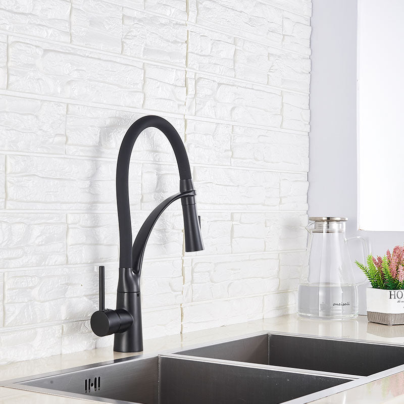 Robinet évier cuisine tuyau noir douchette mitigeur - Noir - Laiton