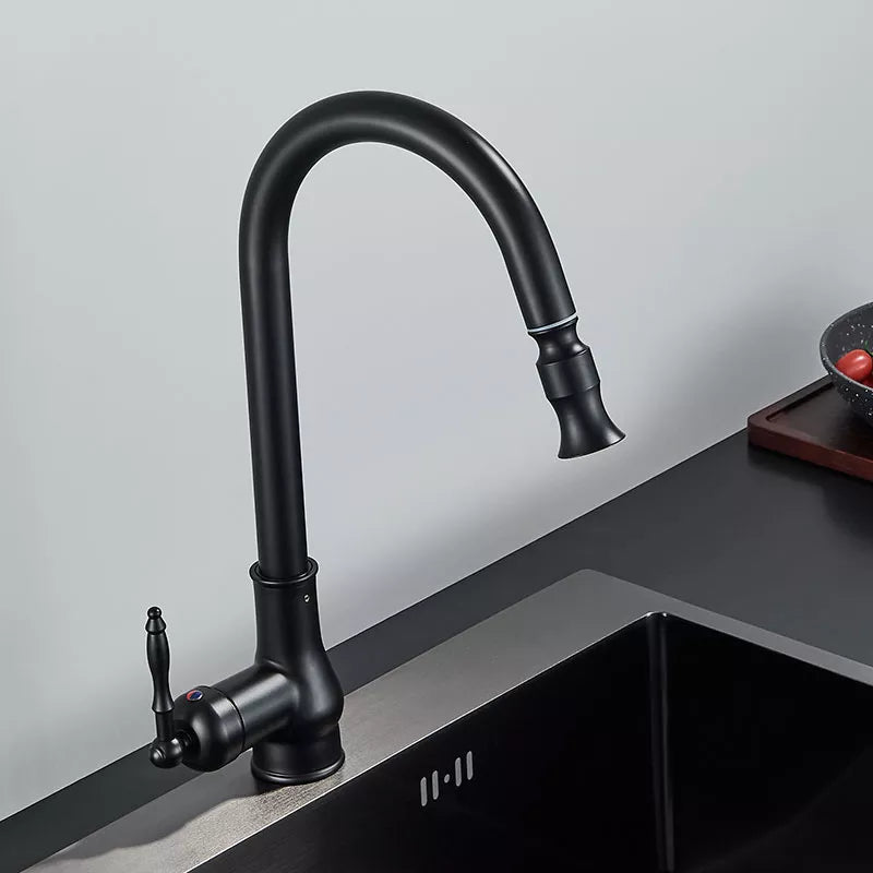 Robinet évier cuisine rétro flexible rétractable Vintage - Noir - Laiton