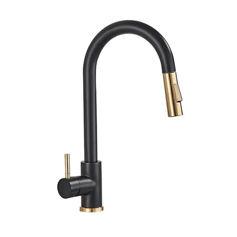 Robinet cuisine évier flexible douchette minimaliste - Noir - Laiton