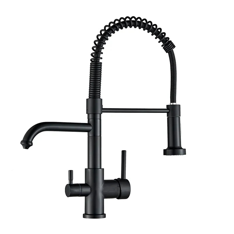 Robinet évier cuisine mitigeur douchette purificateur d'eau - Noir - Laiton