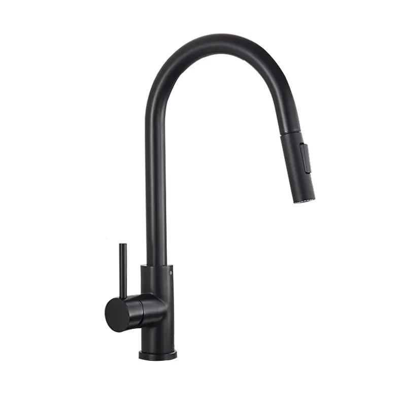 Robinet cuisine évier flexible douchette minimaliste - Noir - Laiton