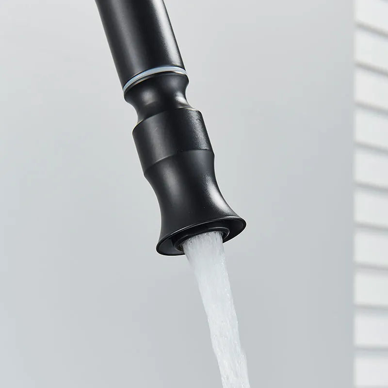 Robinet évier cuisine rétro flexible rétractable Vintage - Noir - Laiton