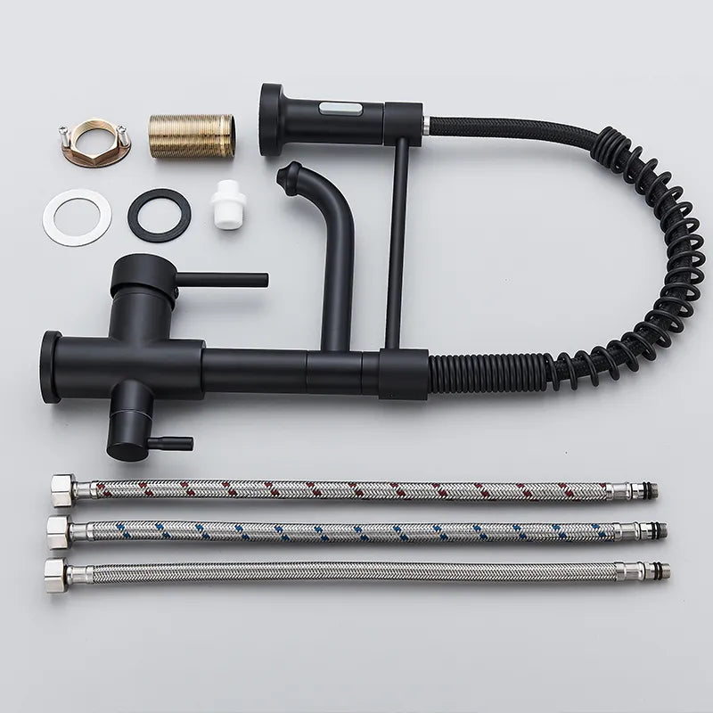 Robinet évier cuisine mitigeur douchette purificateur d'eau - Noir - Laiton