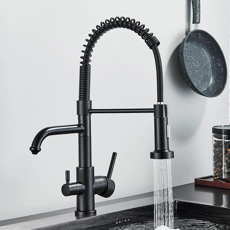 Robinet évier cuisine mitigeur douchette purificateur d'eau - Noir - Laiton