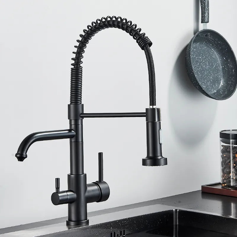 Robinet évier cuisine mitigeur douchette purificateur d'eau - Noir - Laiton