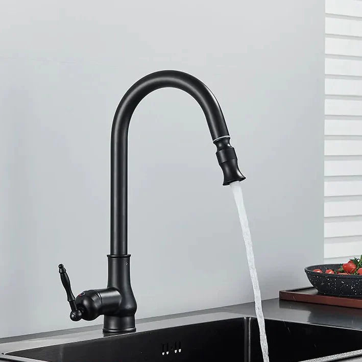 Robinet évier cuisine rétro flexible rétractable Vintage - Noir - Laiton