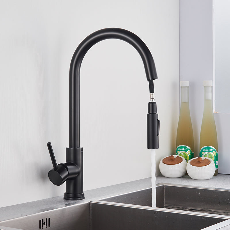 Robinet cuisine évier flexible douchette minimaliste - Noir - Laiton