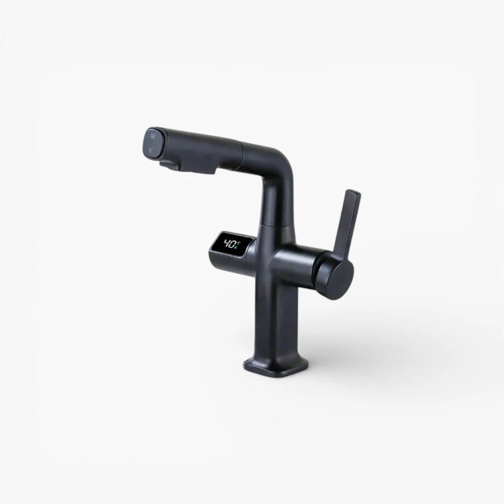 Robinet cuisine affichage thermostatique flexible - Noir - Laiton