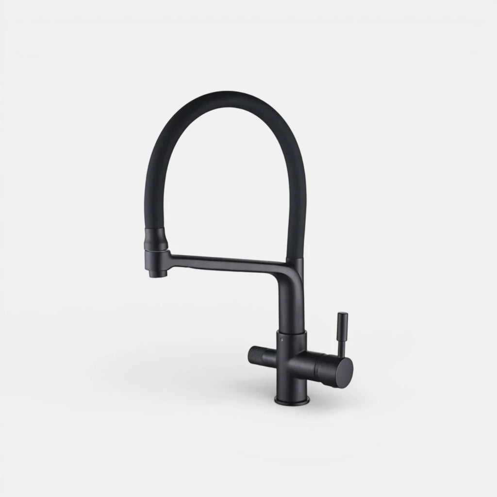 Robinet cuisine évier flexible double robinet purificateur d'eau - Noir - Laiton