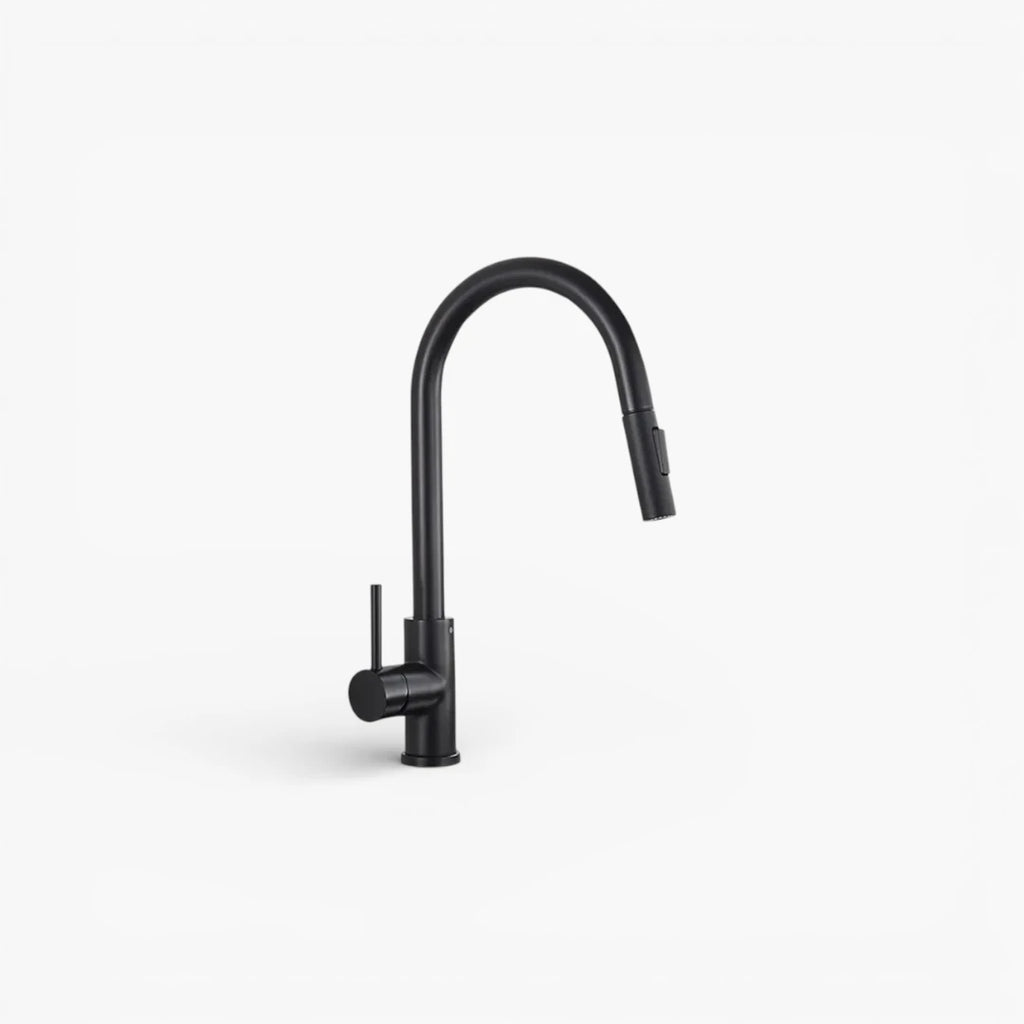 Robinet cuisine évier flexible douchette minimaliste - Noir - Laiton