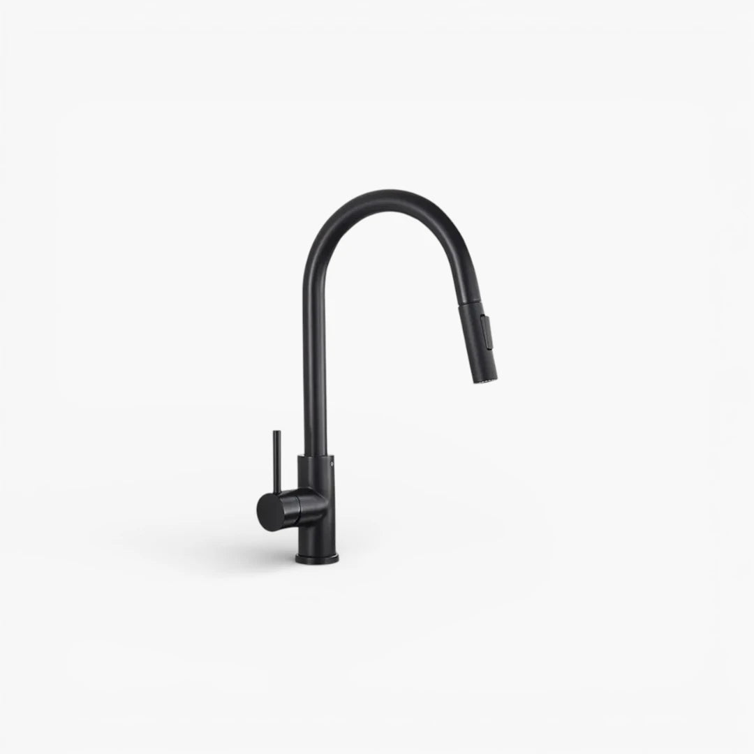 Robinet cuisine évier flexible douchette minimaliste - Noir - Laiton