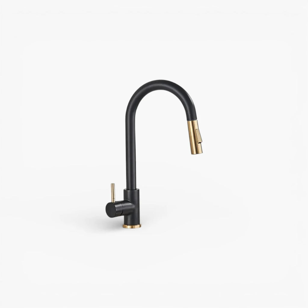 Robinet cuisine évier flexible douchette minimaliste - Noir - Laiton