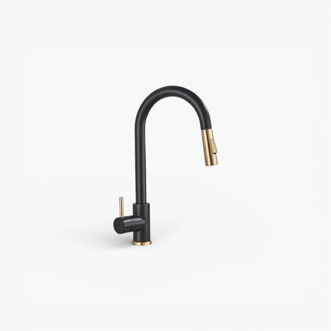 Robinet cuisine évier flexible douchette minimaliste - Noir - Laiton