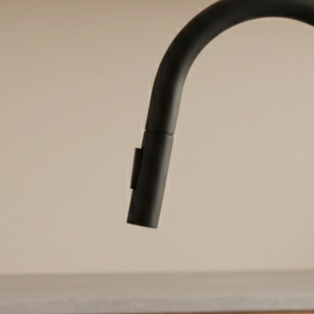 Robinet cuisine évier flexible douchette minimaliste - Noir - Laiton