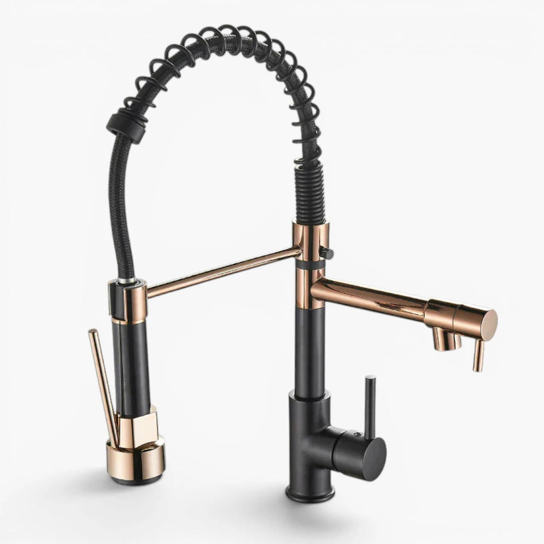 Robinet double cuisine évier douchette mitigeur bicolore - Noir / Doré - Laiton
