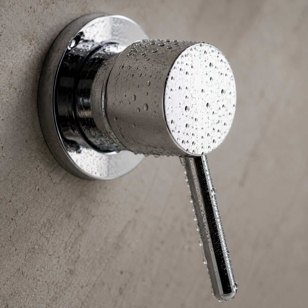 Robinet douche salle de bain douchette mitigeur rond - Argenté - Laiton