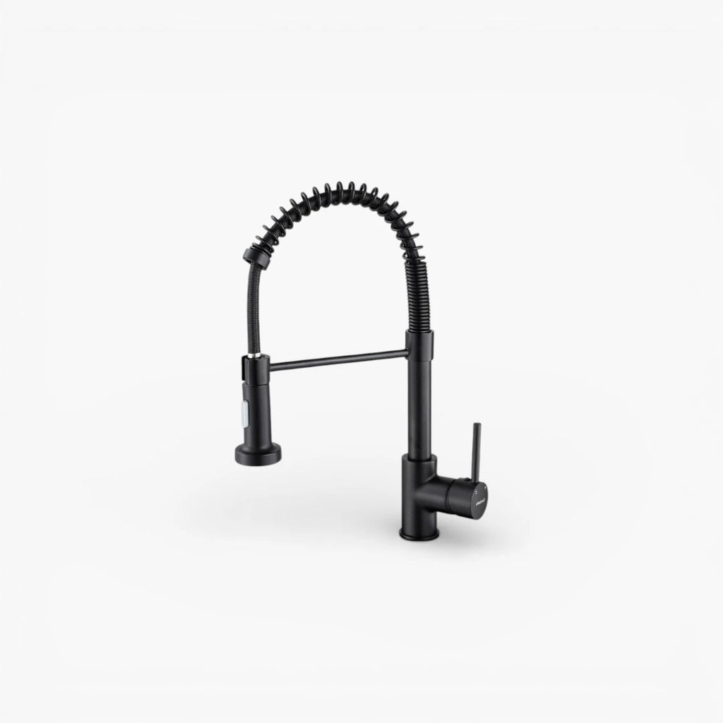 Robinet douchette cuisine évier - Noir mat - Laiton