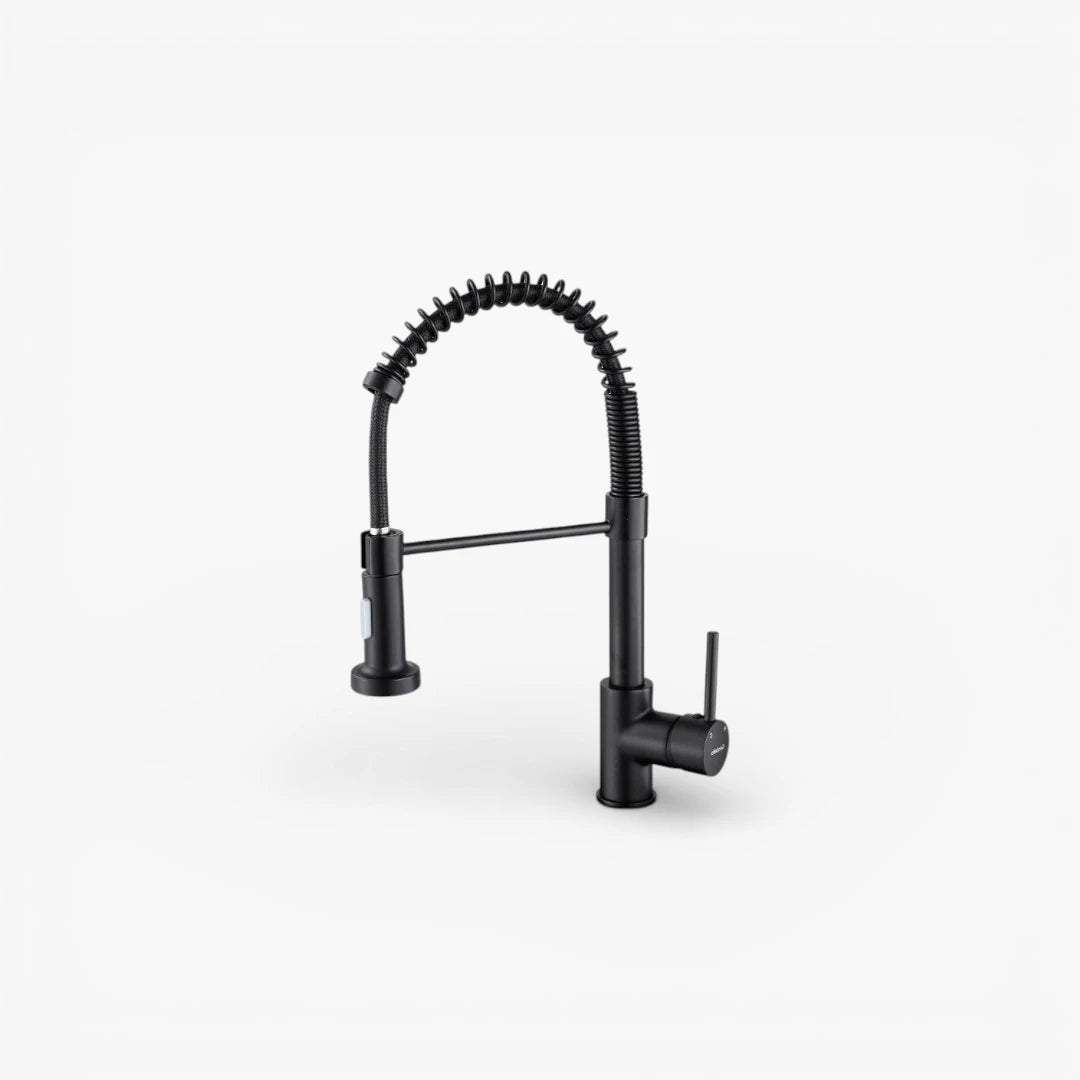 Robinet douchette cuisine évier - Noir mat - Laiton